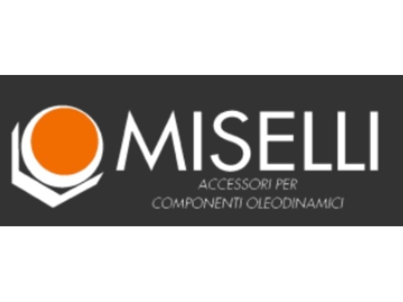 LOGO MISELLI